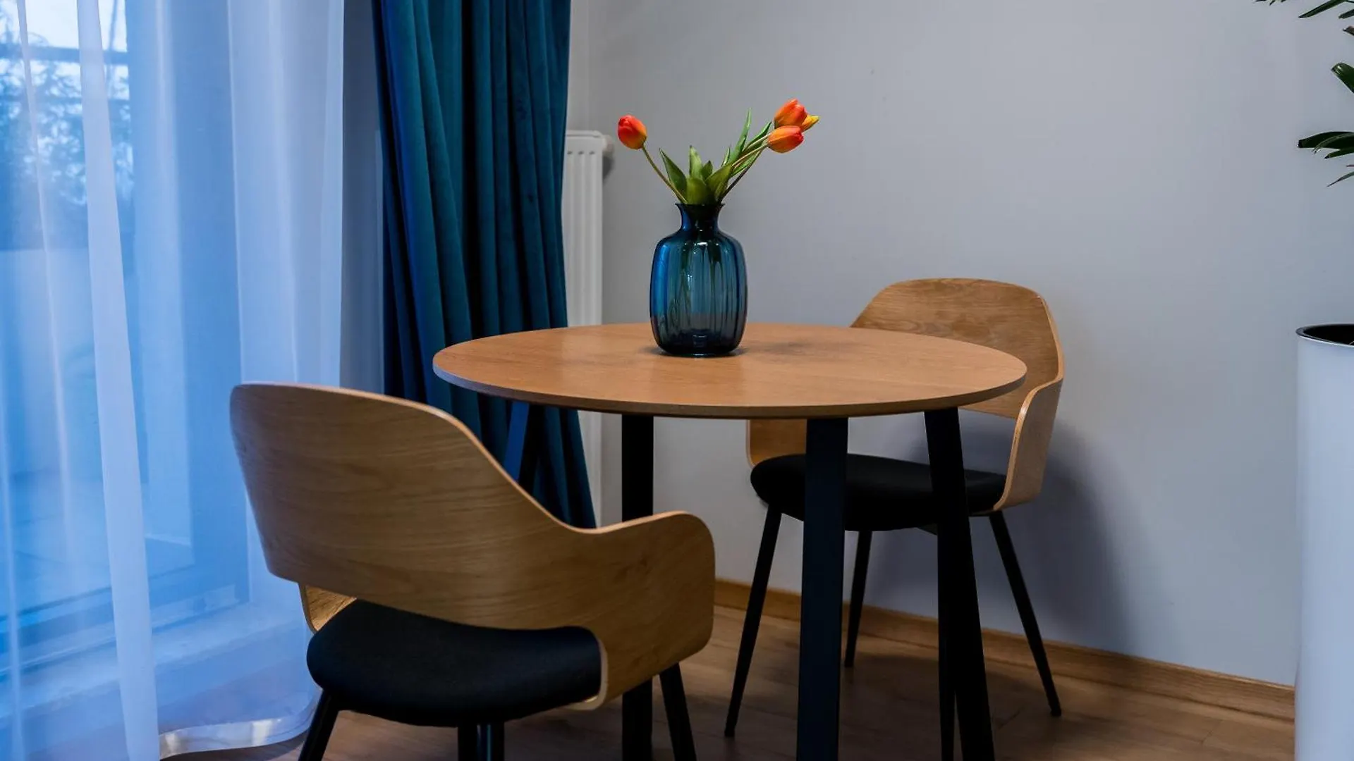 Apartment Serbska Deluxe Studio Poznan