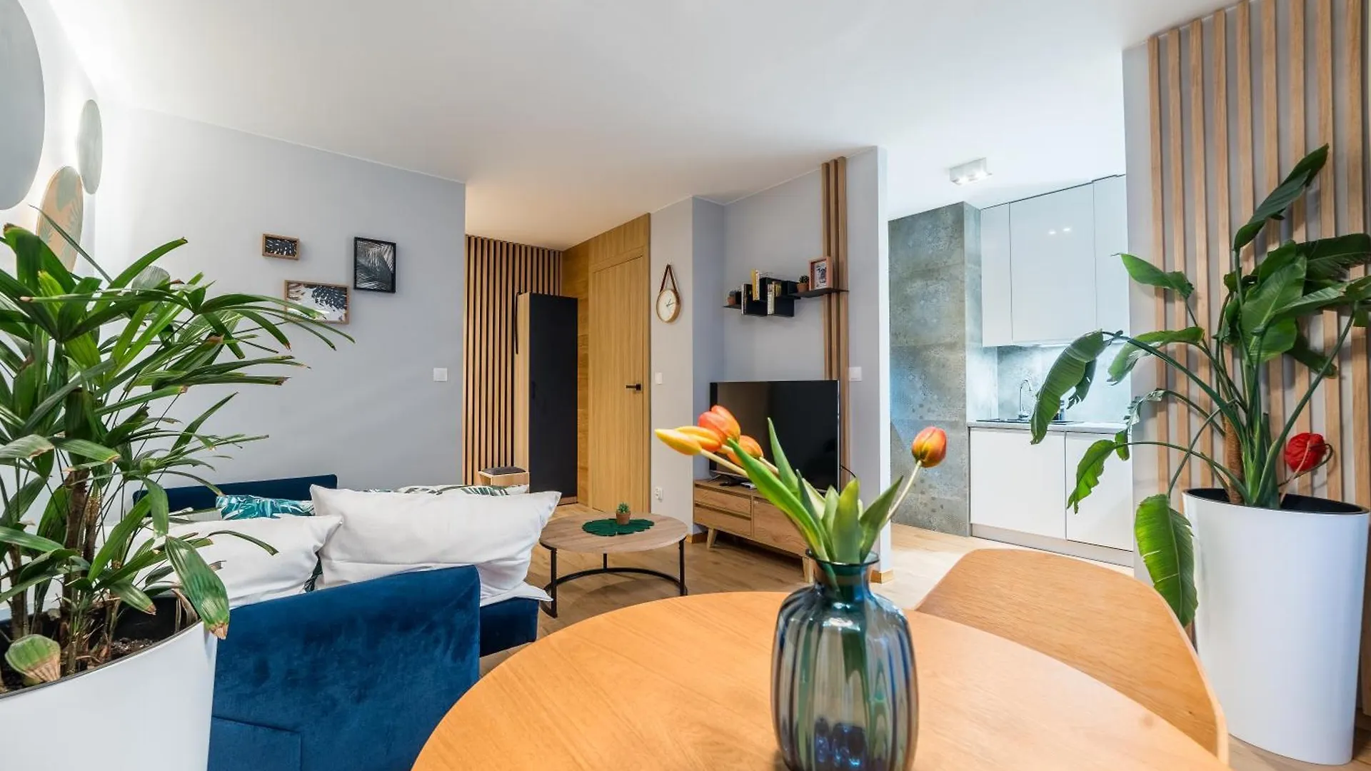 Serbska Deluxe Studio Poznan Apartment